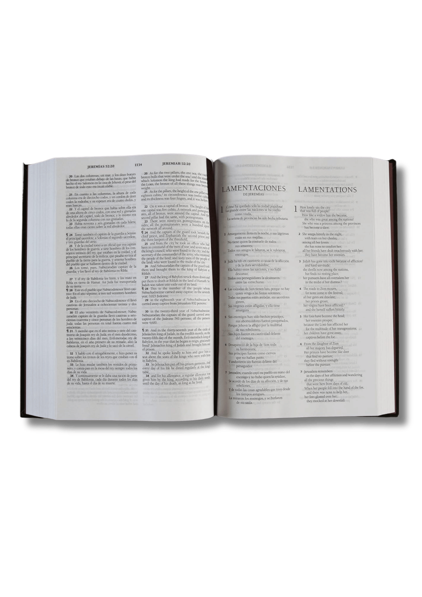 Biblia Bilingue RVR1960/English Standard Version/Letra Grande/Tapa Dura