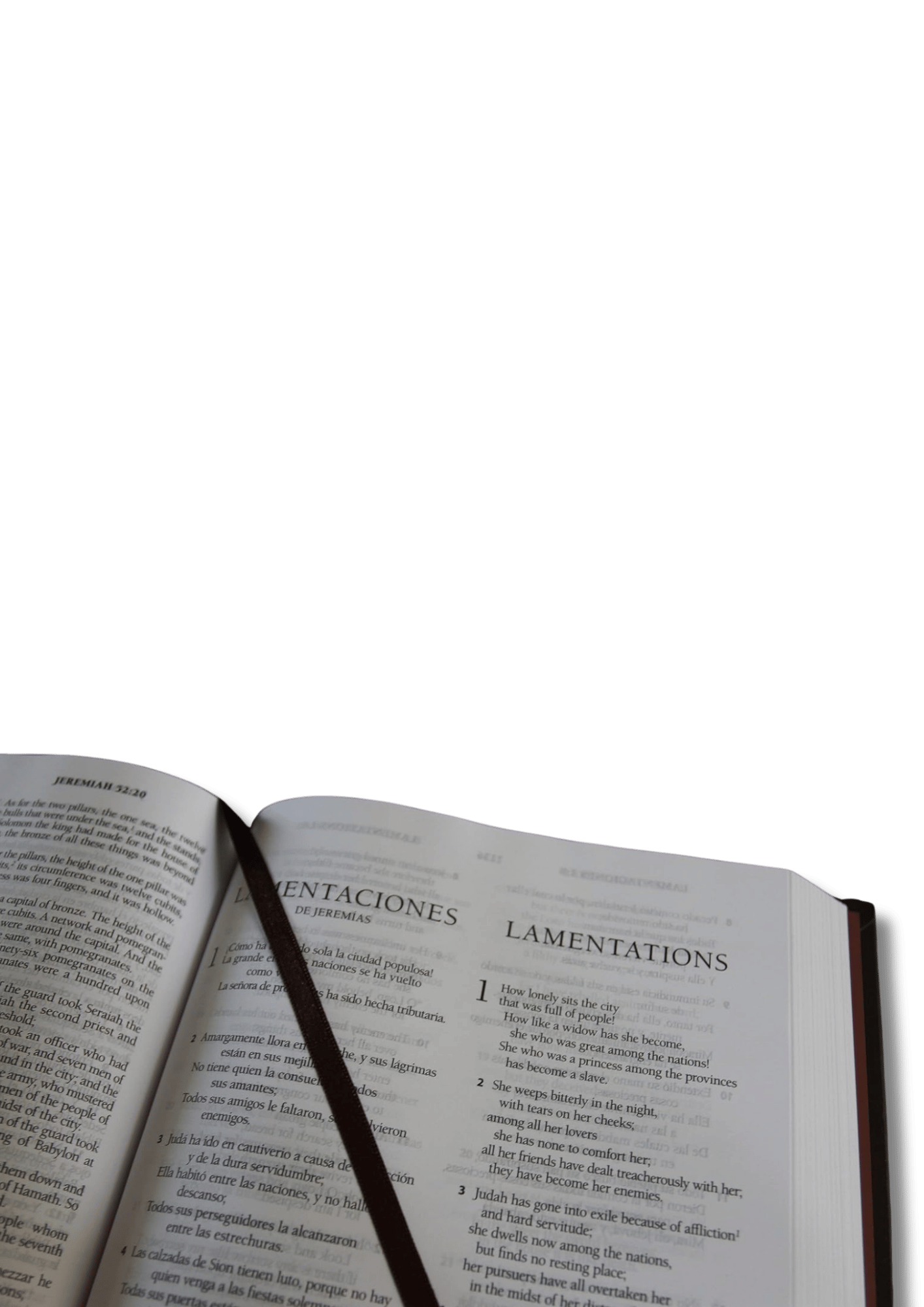 Biblia Bilingue RVR1960/English Standard Version/Letra Grande/Tapa Dura
