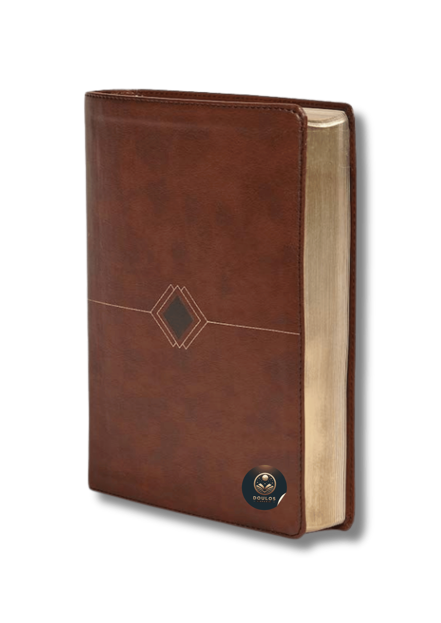 Biblia Cronológica Día a Día RV60