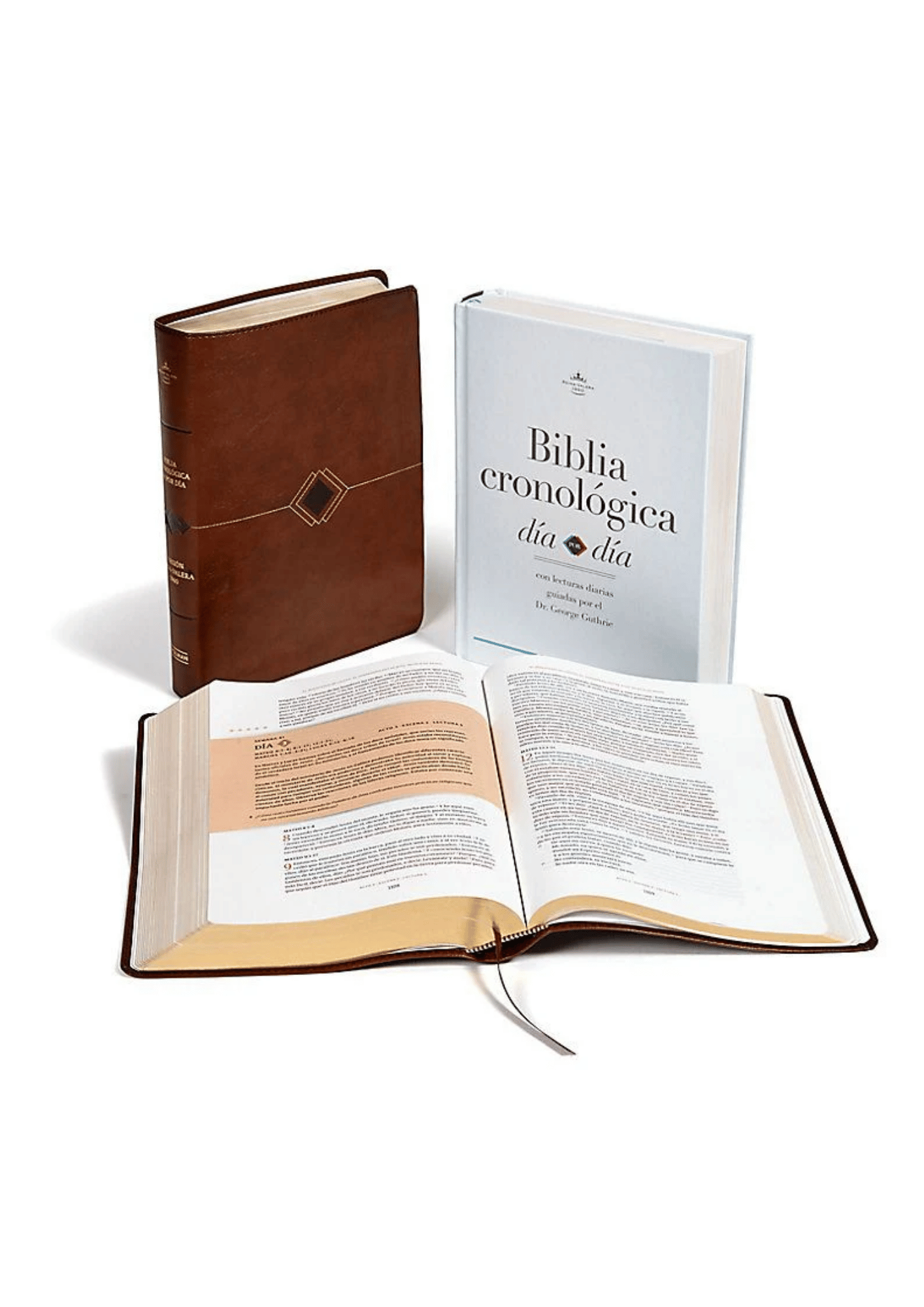 Biblia Cronológica Día a Día RV60