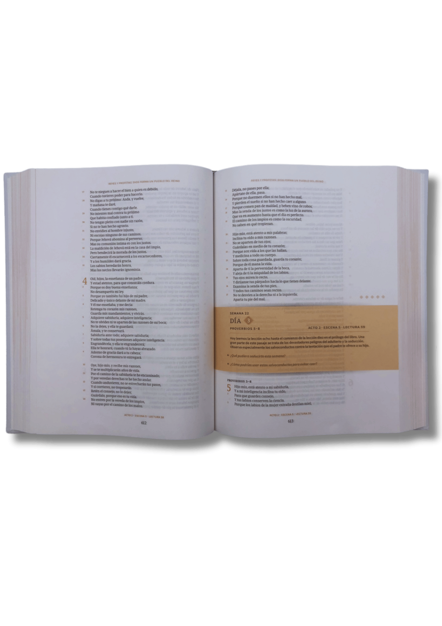 Biblia Cronológica Día a Día RV60