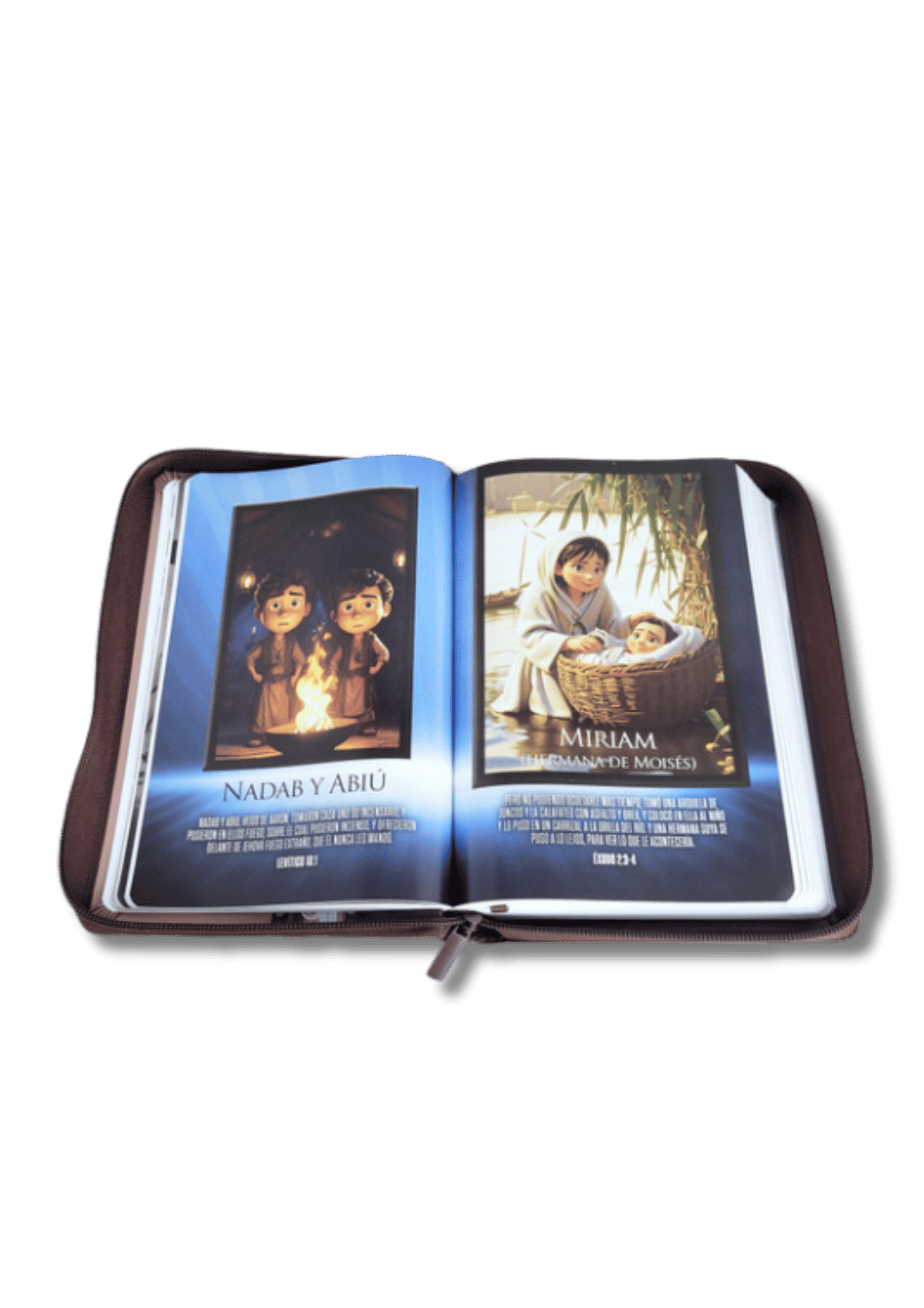 Biblia Héroes RV1960 Letra Gande
