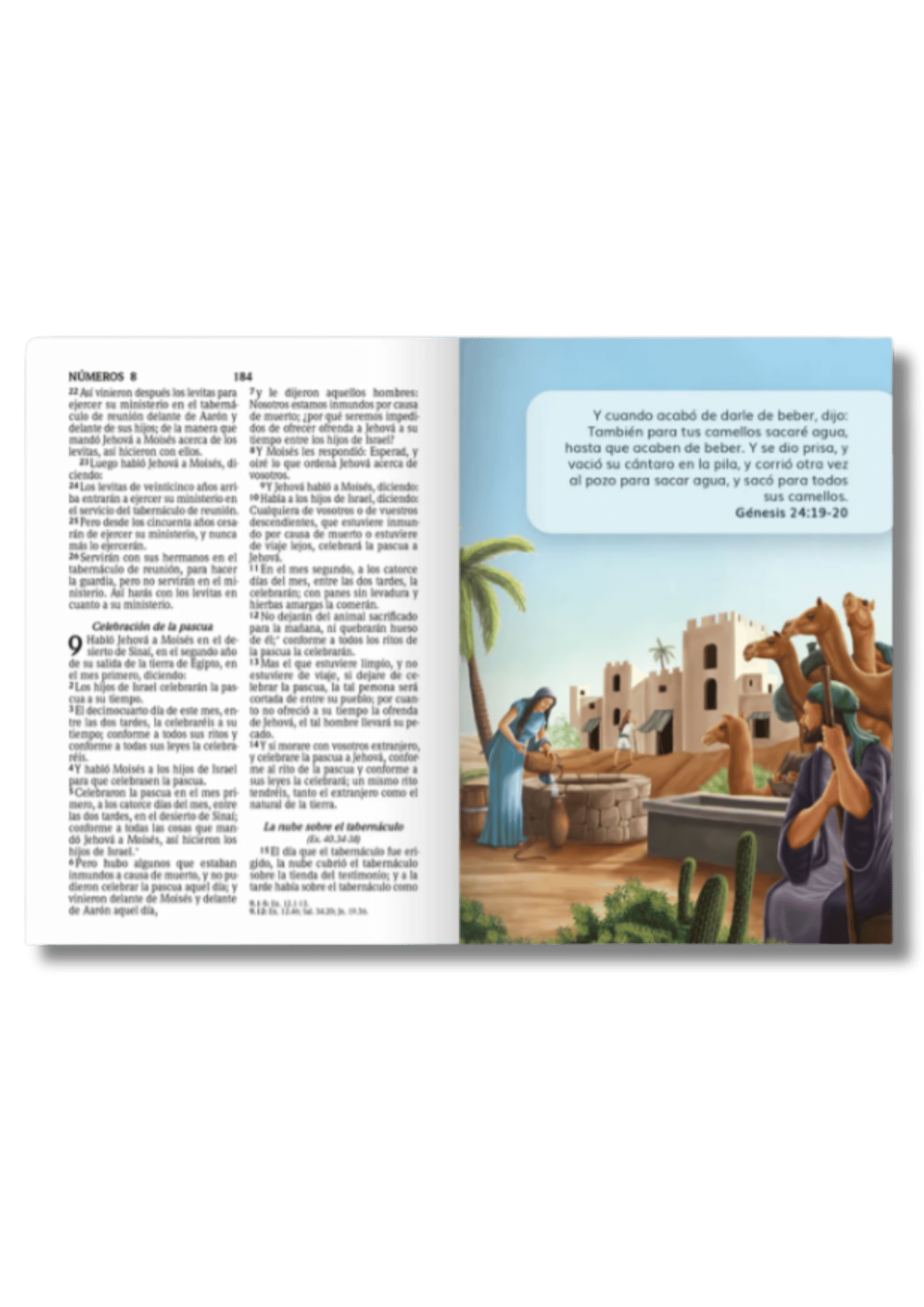 Biblia RV1960 Compacta para Niños/Adolescentes Vinilo con Cierre