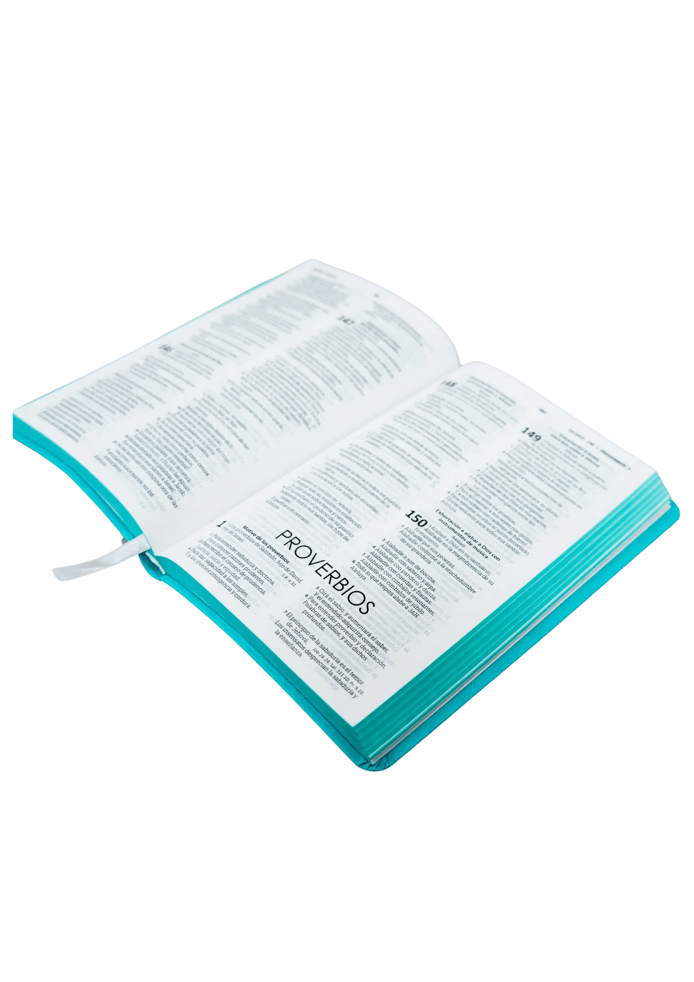 Biblia RVR60 Verde Menta Canto Pintado