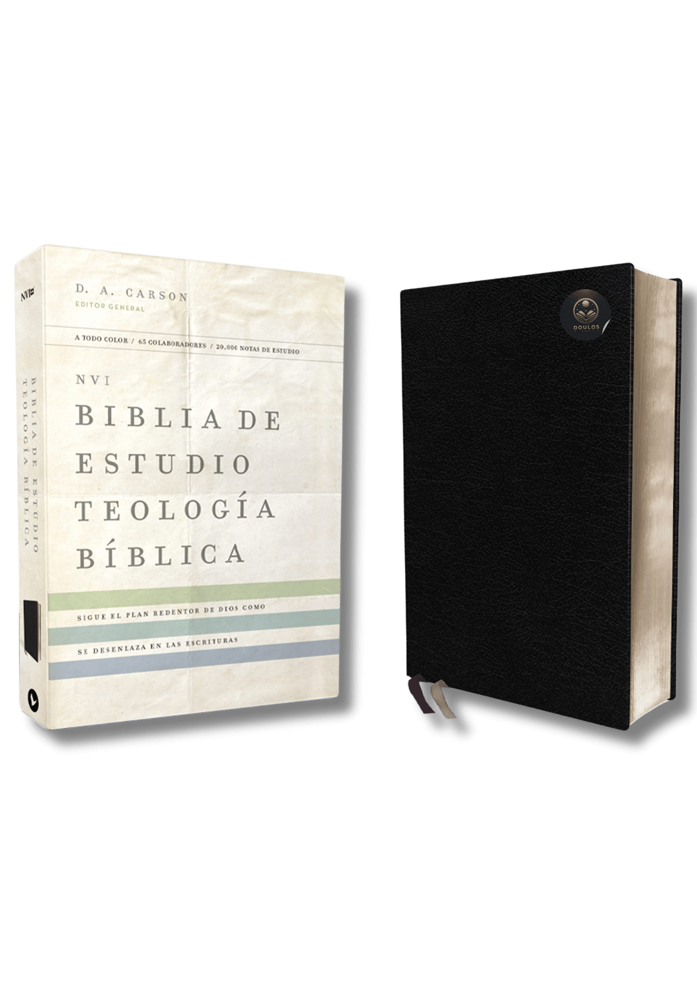 Biblia de Estudio Teología Bíblica NVI