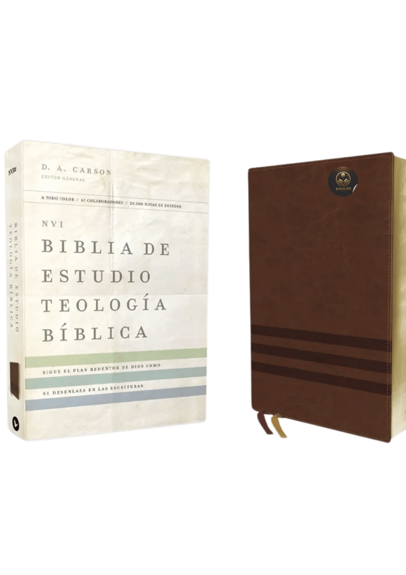 Biblia de Estudio Teología Bíblica NVI
