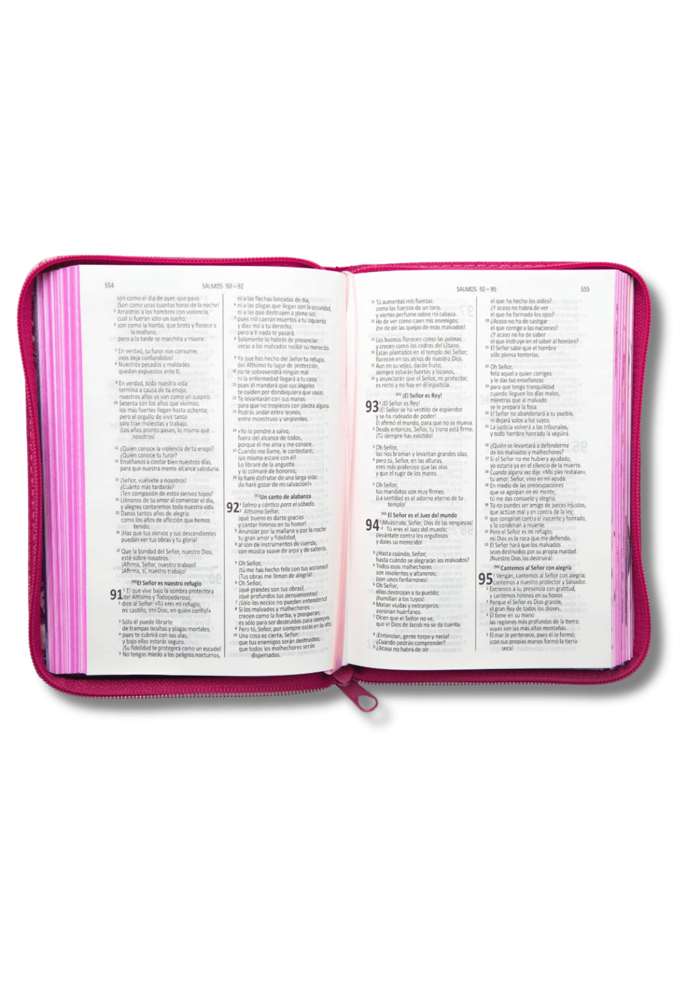 Biblia Ilustrada Valientes con Jesús