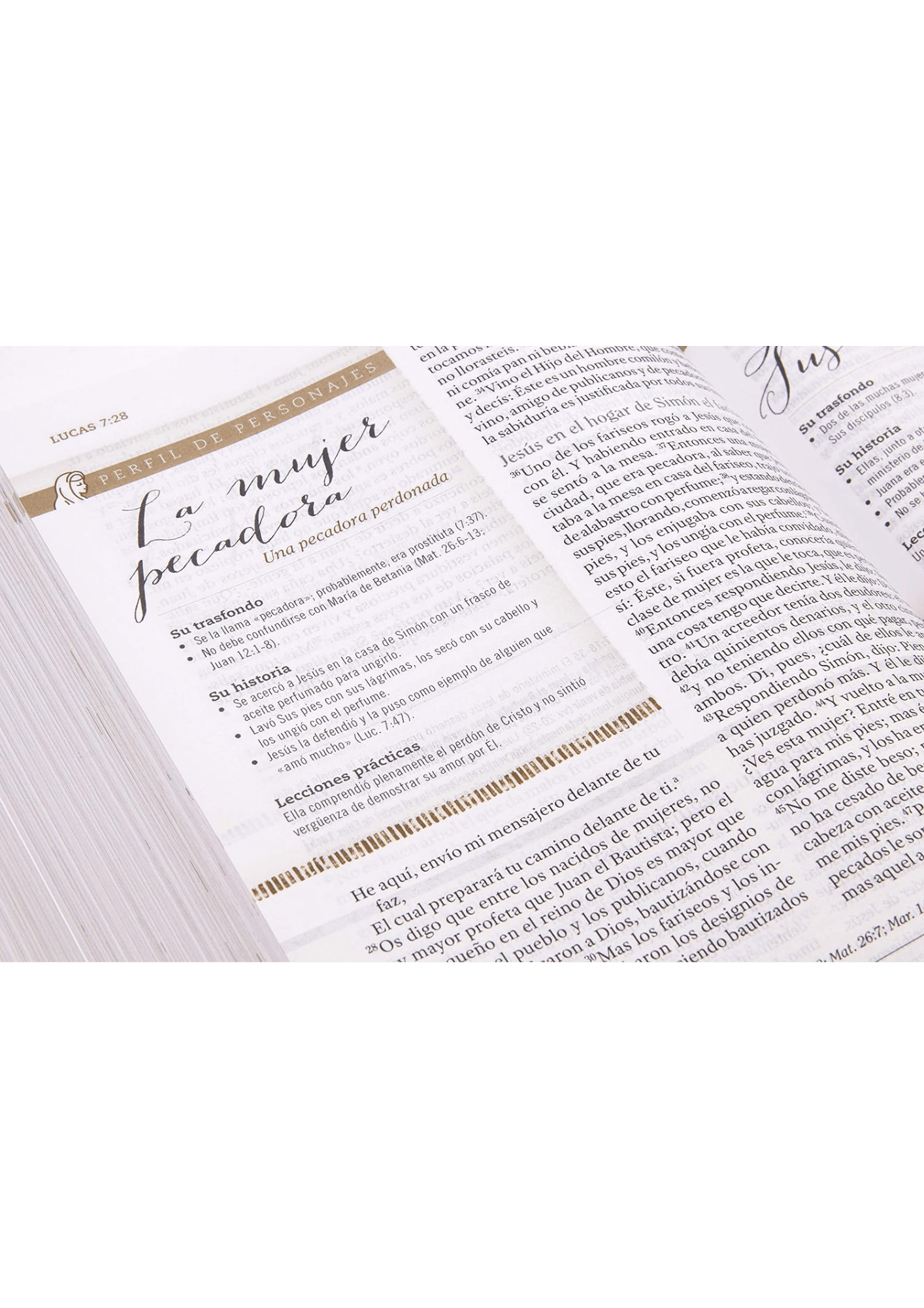 Biblia de Estudio para Mujer RV60 Vinotinto Fucsia Símil Piel