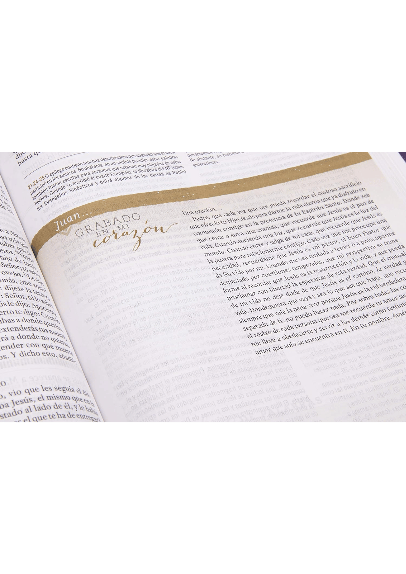 Biblia de Estudio para Mujer RV60 Vinotinto Fucsia Símil Piel