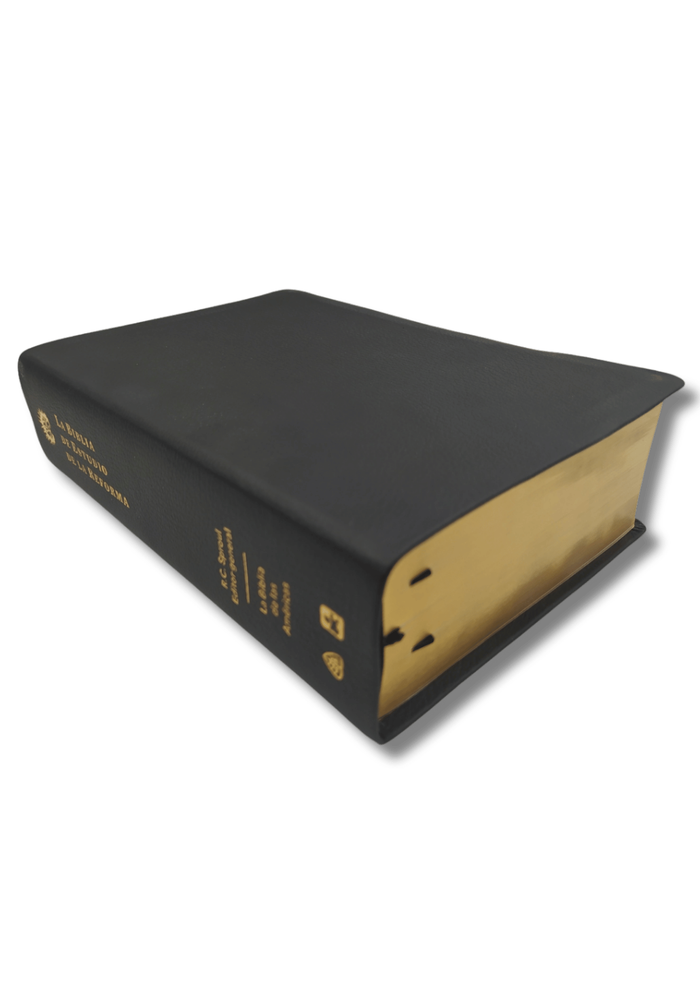 Biblia de Estudio de La Reforma LBLA - La Biblia de las Américas