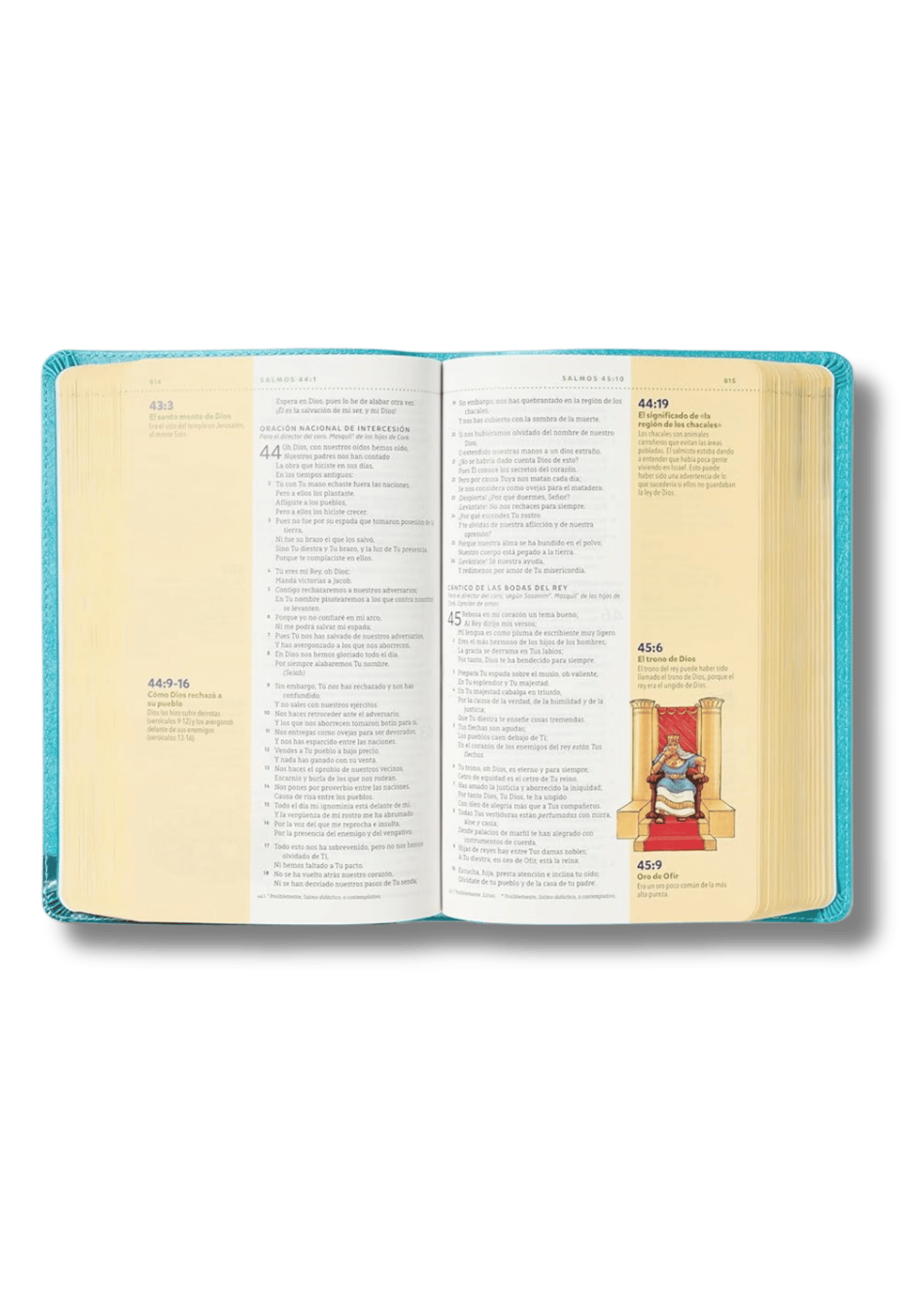 Biblia Visual de Estudio para Niñas Jóvenes