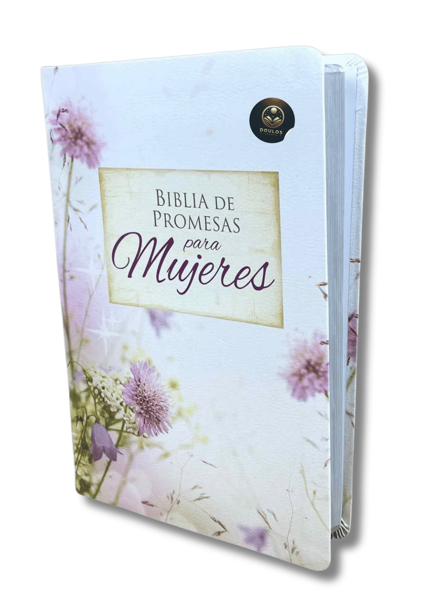 Biblia de promesas para mujeres RV60