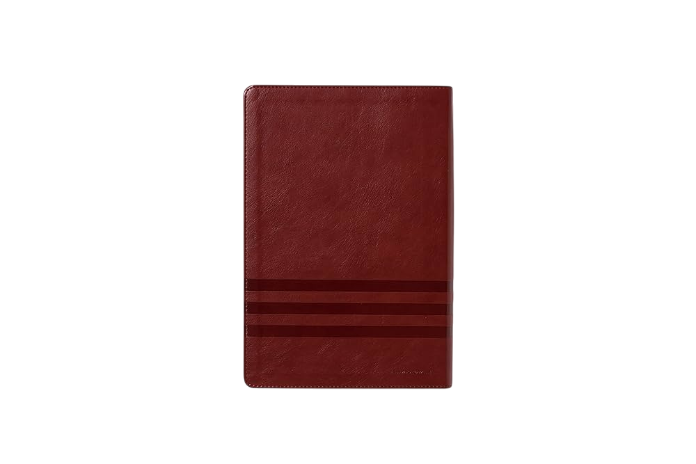 Biblia de Estudio Teología Bíblica NVI