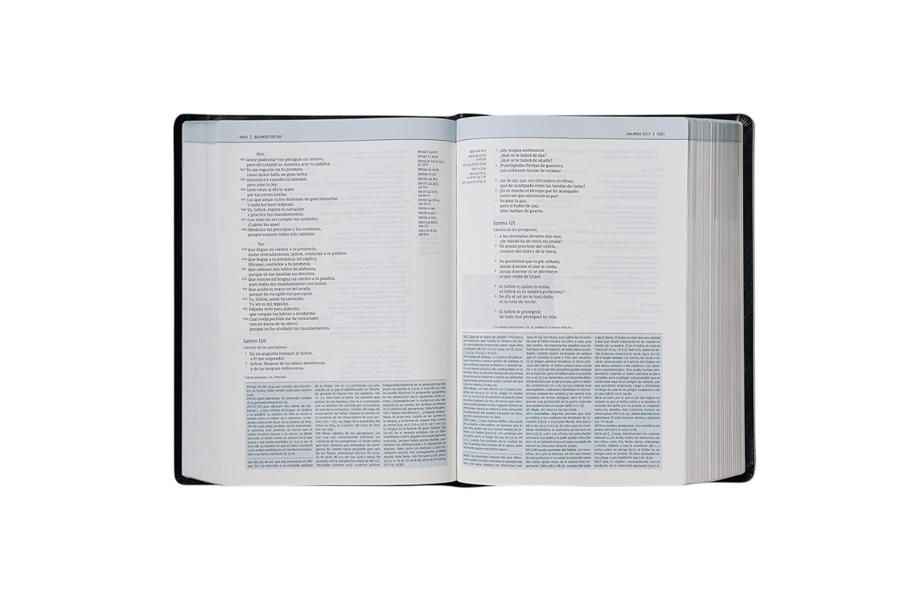 Biblia de Estudio Teología Bíblica NVI