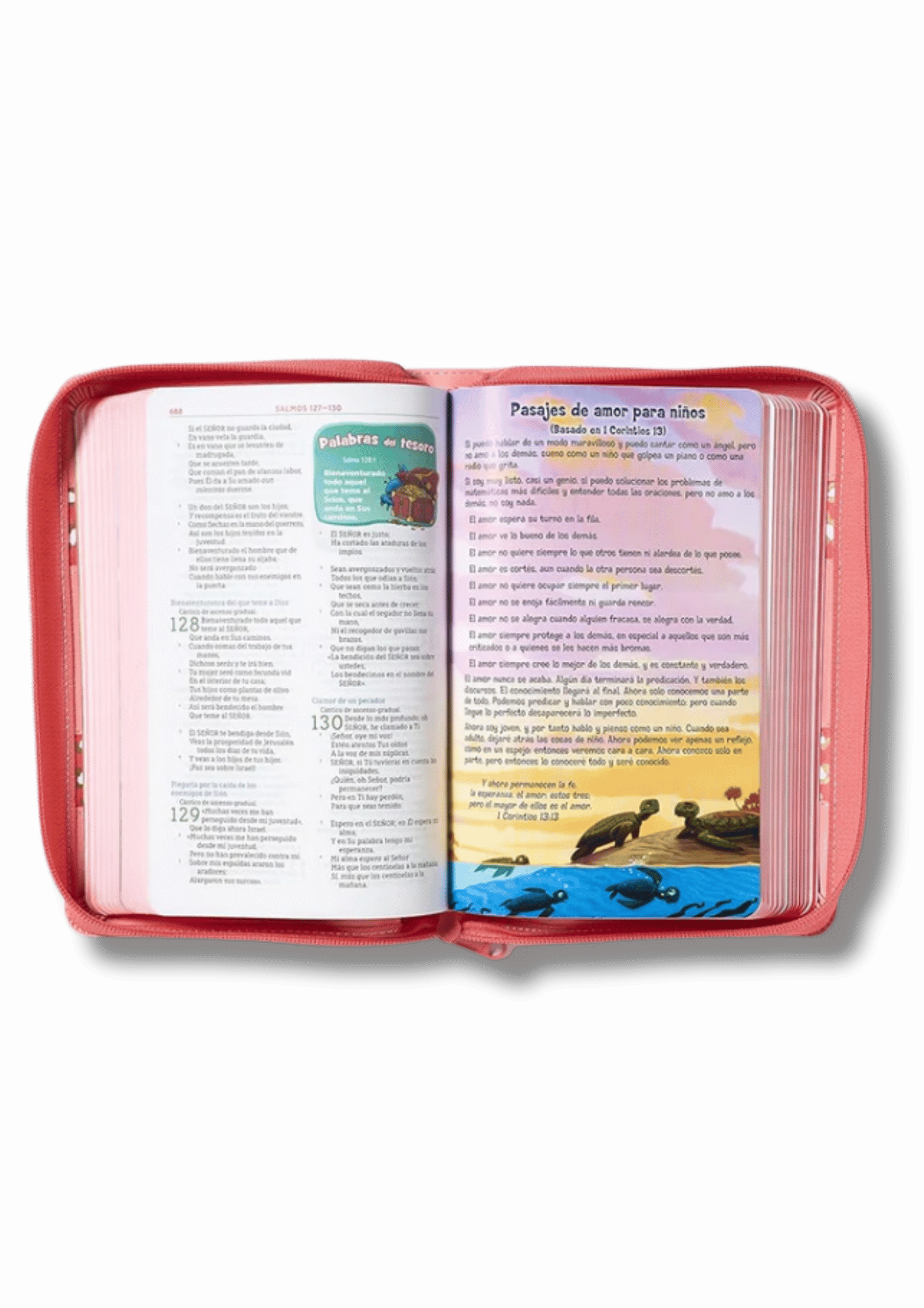 Biblia Aventura NBLA