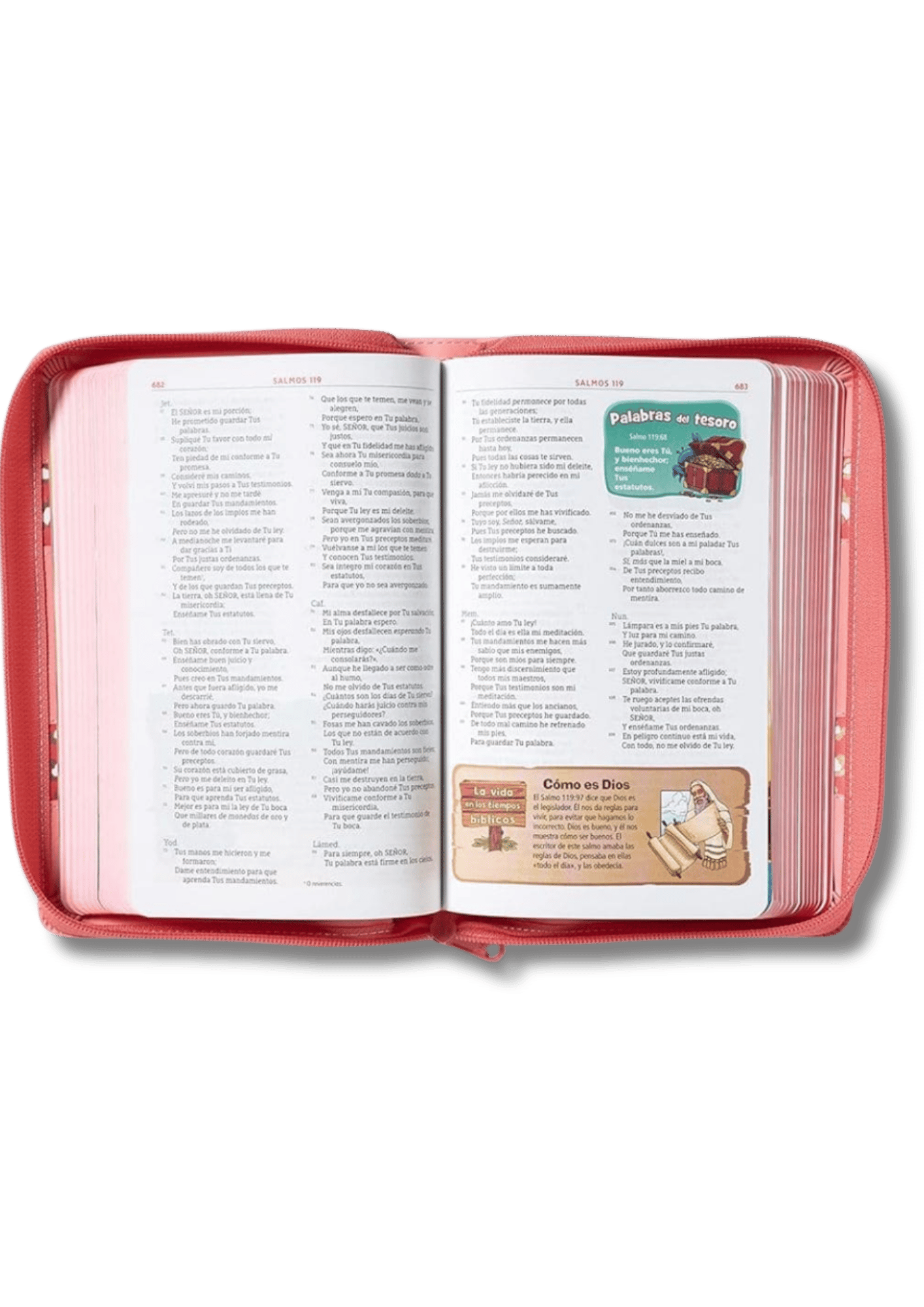 Biblia Aventura NBLA