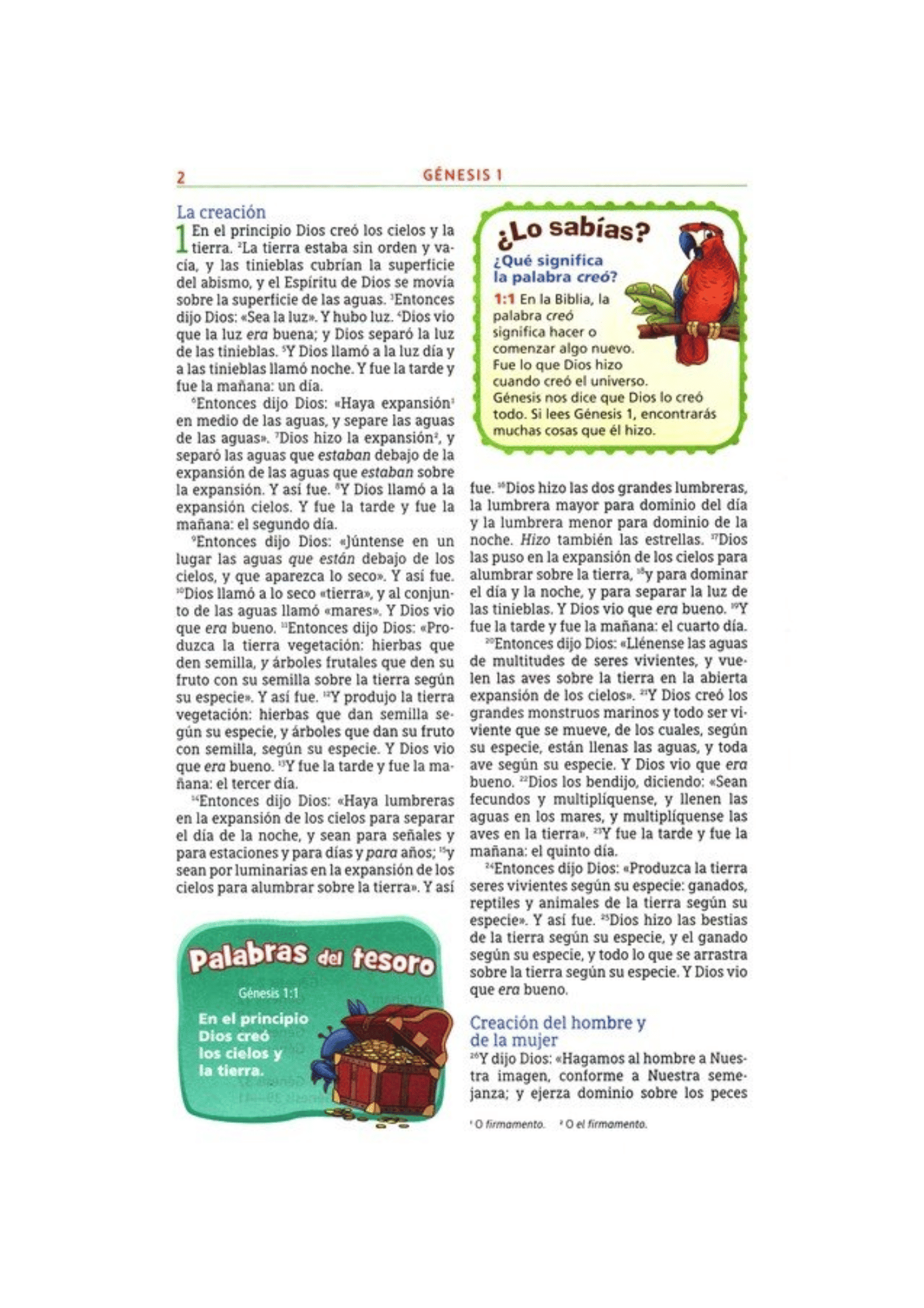 Biblia Aventura para niños/adolescentes NBLA Safari León Tapa Dura