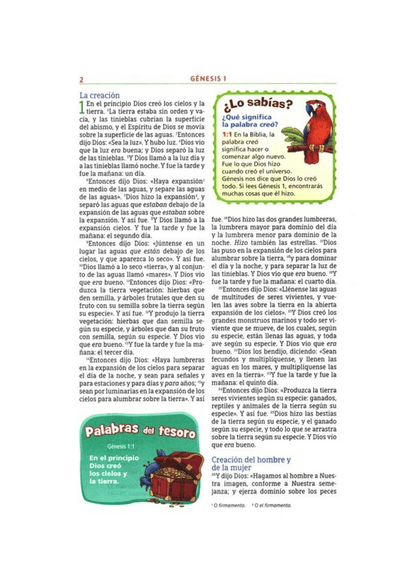 Biblia Aventura para niños/adolescentes NBLA Safari León Tapa Dura
