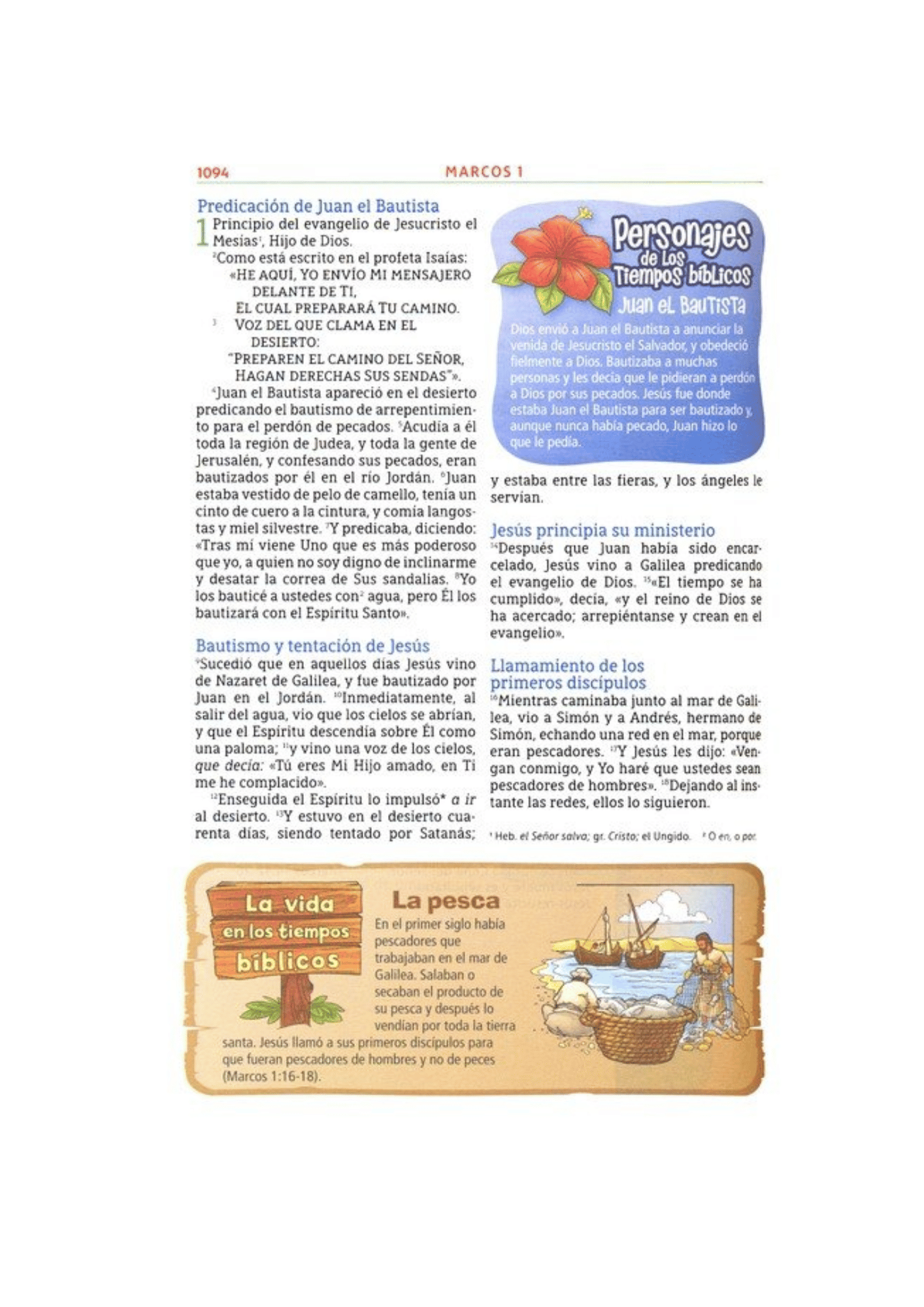 Biblia Aventura para niños/adolescentes NBLA Safari León Tapa Dura