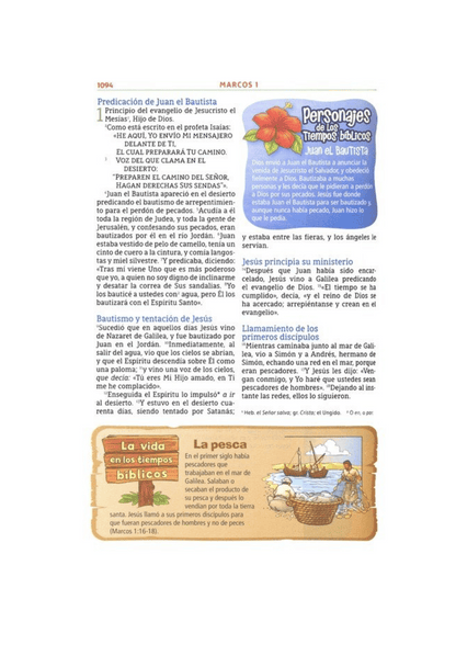 Biblia Aventura para niños/adolescentes NBLA Safari León Tapa Dura