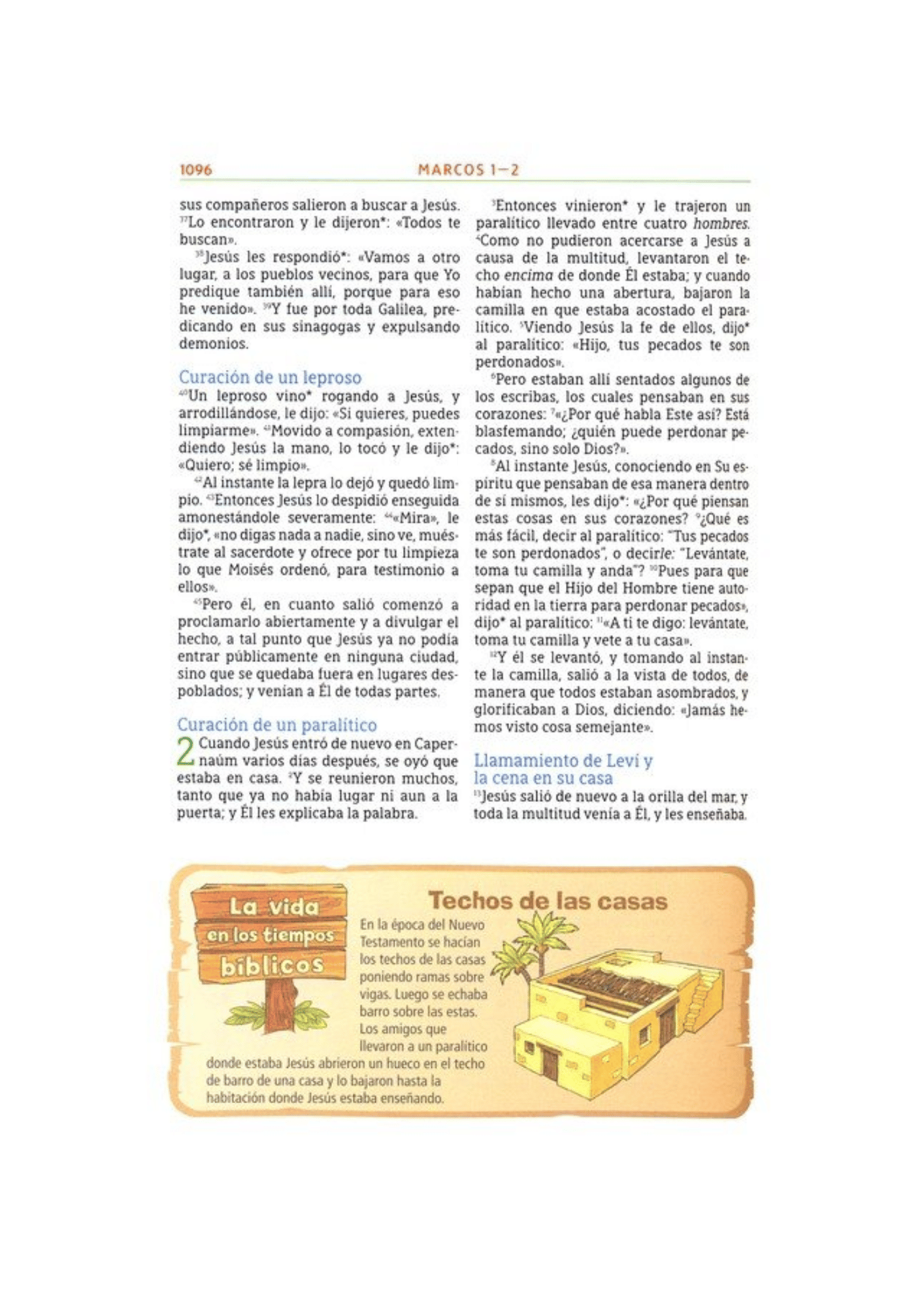 Biblia Aventura para niños/adolescentes NBLA Safari León Tapa Dura