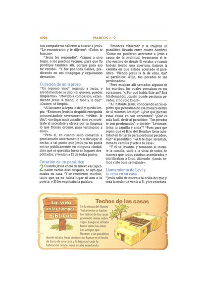 Biblia Aventura para niños/adolescentes NBLA Safari León Tapa Dura