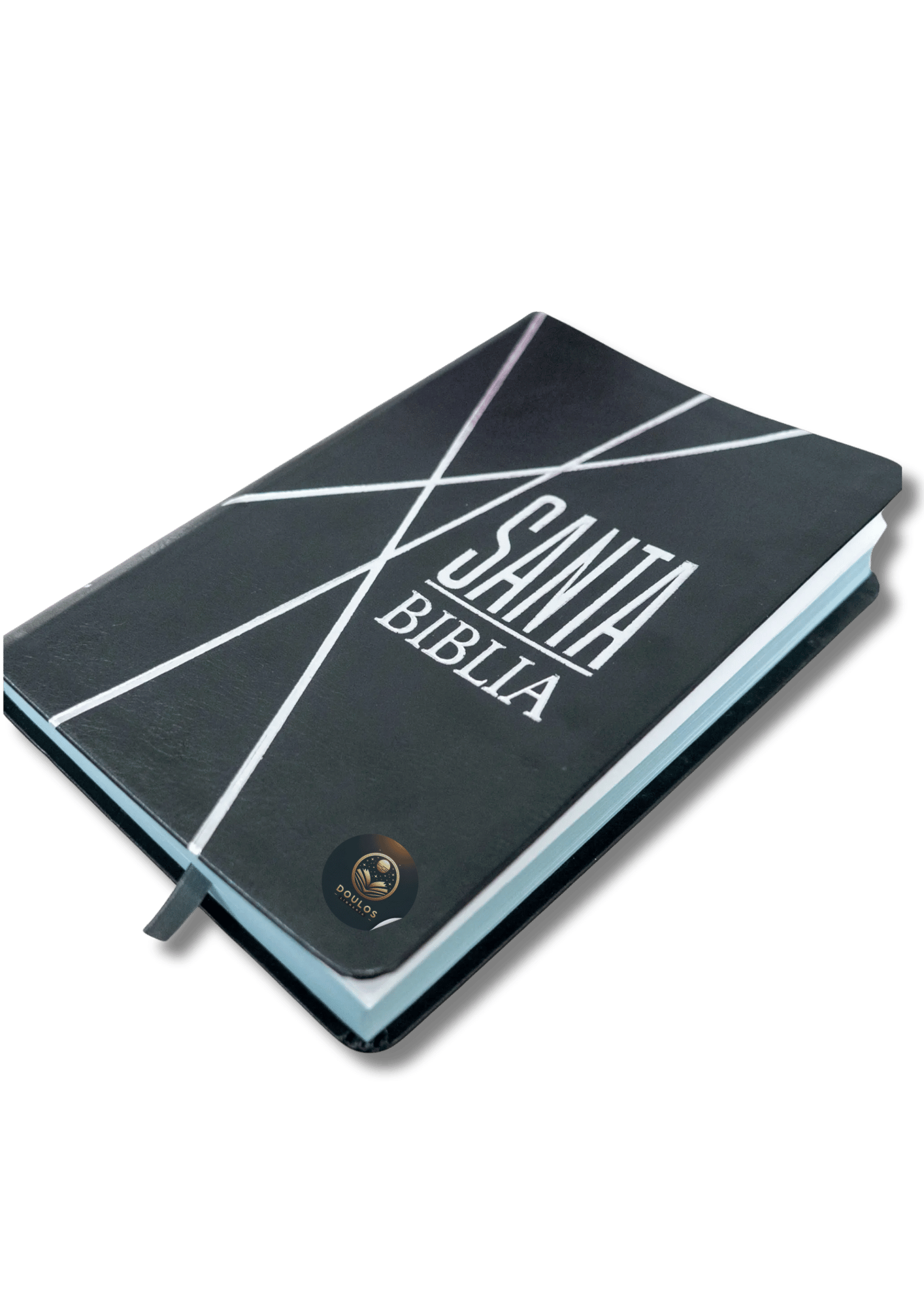 Biblia RVR60 Negra Canto Pintado