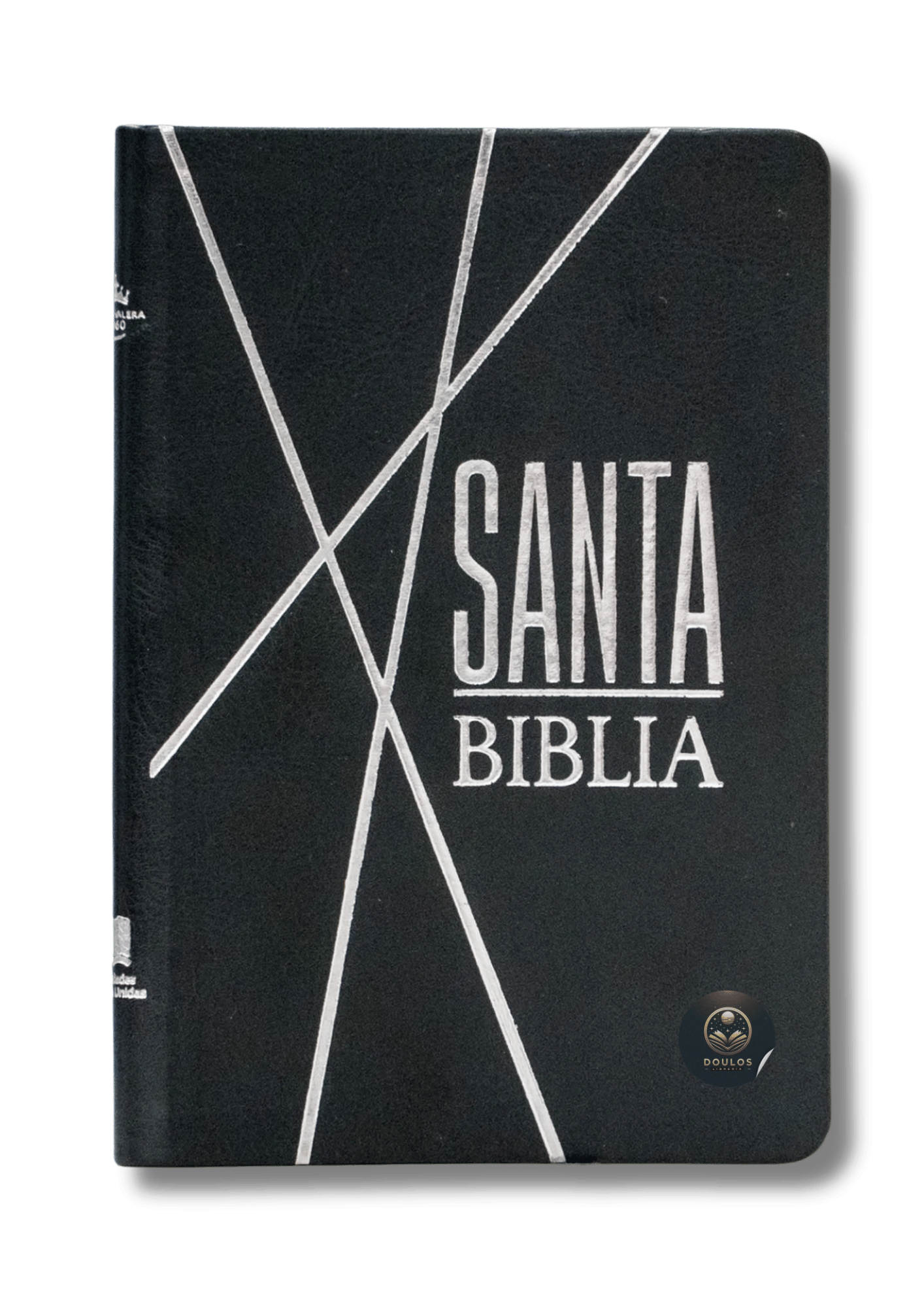 Biblia RVR60 Negra Canto Pintado