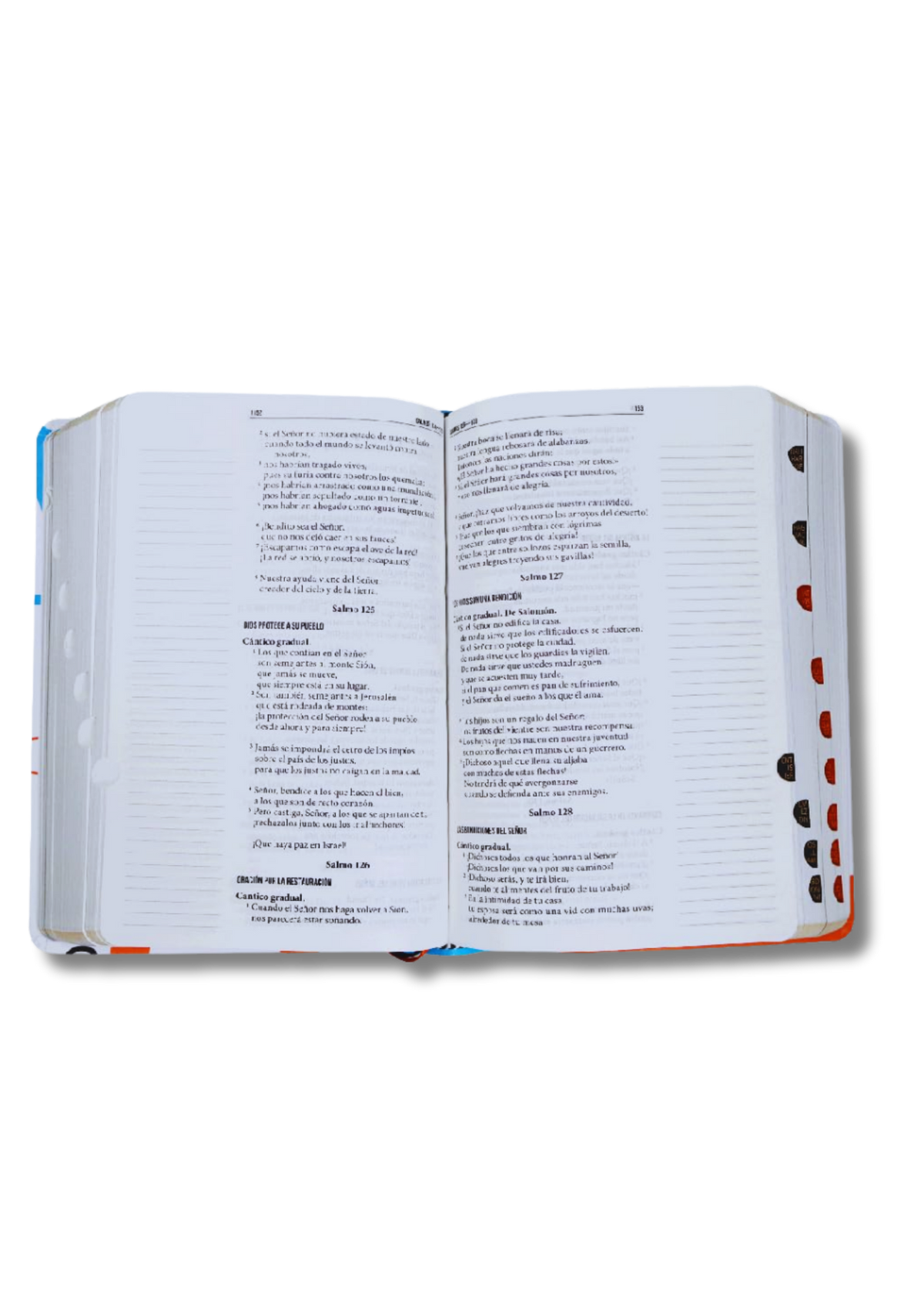 Biblia Servidores RVC – Imitación Piel con Índice y Margen para Notas
