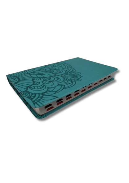 Biblia Ultrafina RVR60 Aqua piel
