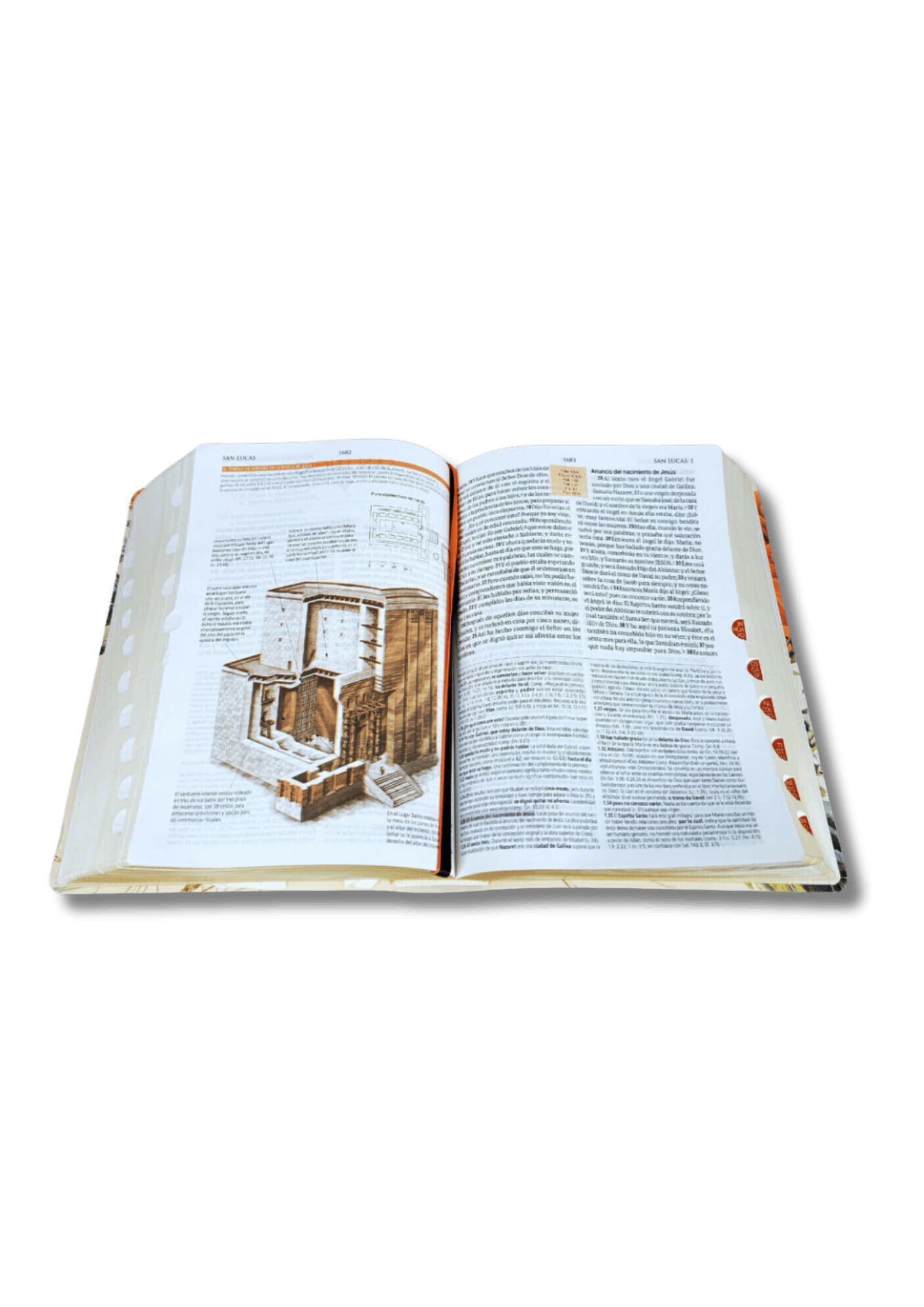 Biblia de Estudio Teológico para Mujer - Imitación piel tejida floral con Índice