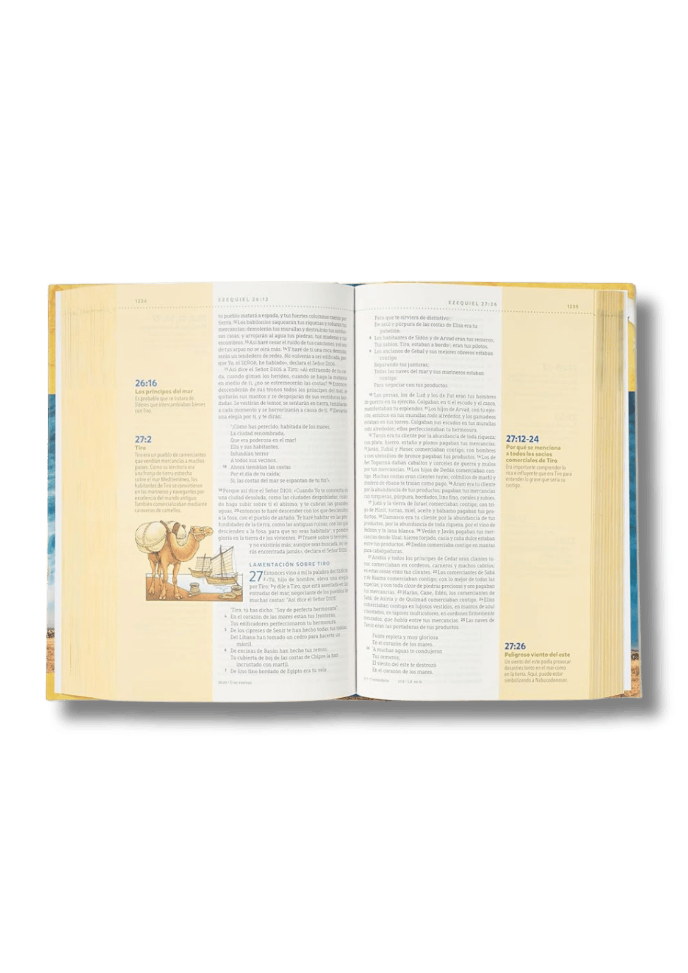 Biblia Visual de Estudio para Niños