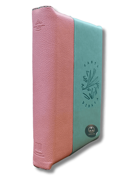 Biblia RVR60 Letra grande con Ayudas Digitales