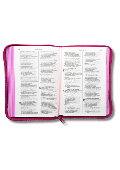 Biblia Ilustrada Valientes con Jesús