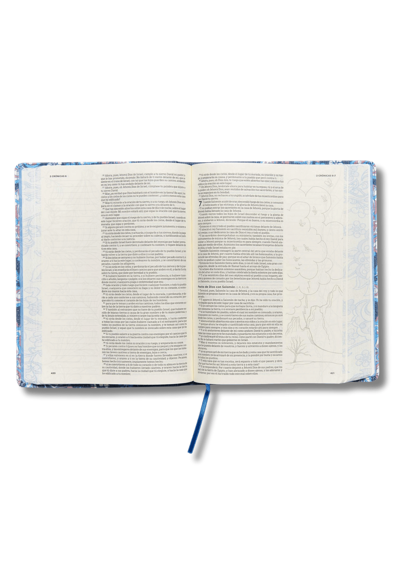 Biblia de Apuntes Edición Ilustrada Tela en Rosado y Azul VR 1960