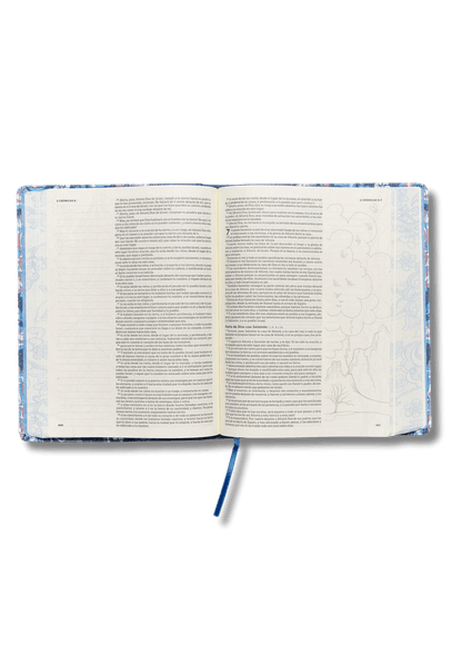 Biblia de Apuntes Edición Ilustrada Tela en Rosado y Azul VR 1960