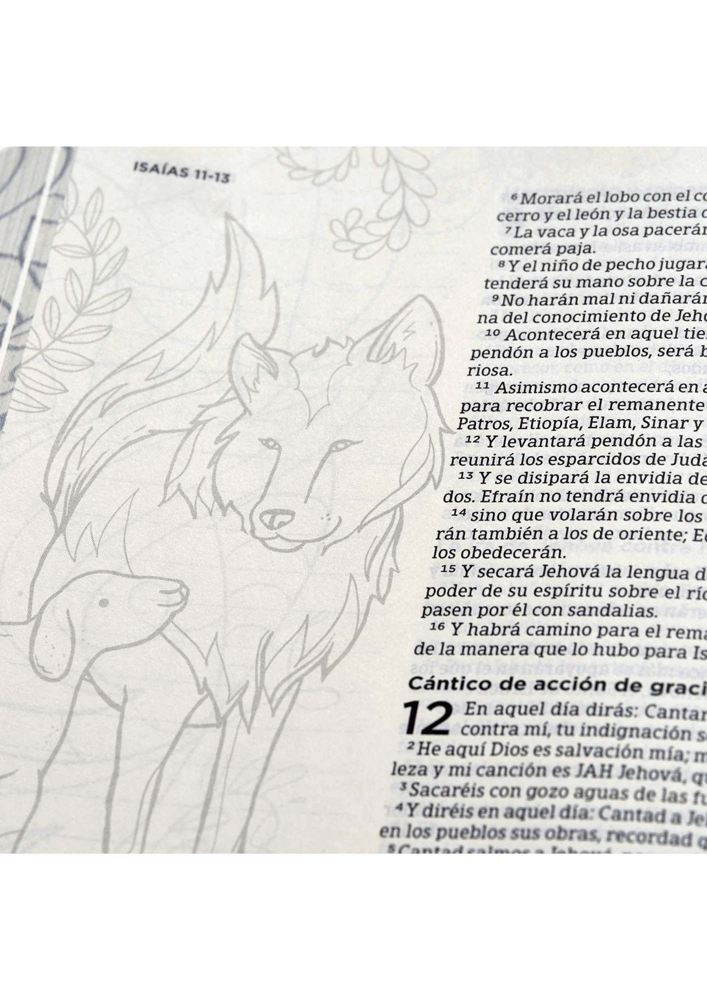 Biblia de Apuntes Edición Ilustrada Tela en Rosado y Azul VR 1960