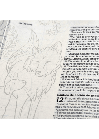 Biblia de Apuntes Edición Ilustrada Tela en Rosado y Azul VR 1960