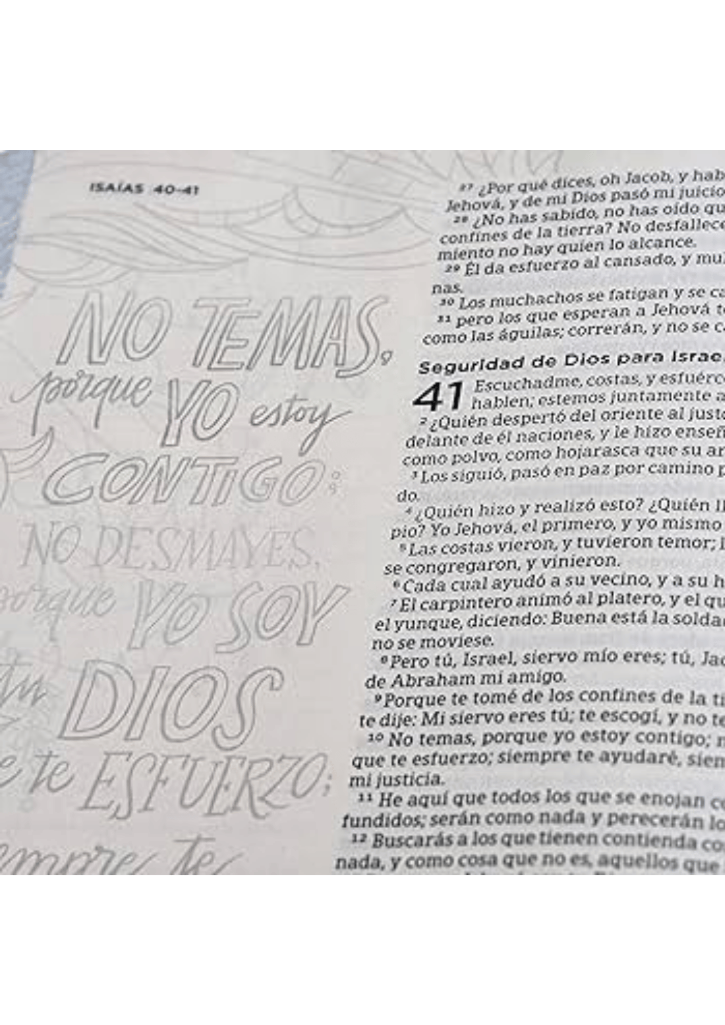 Biblia de Apuntes Edición Ilustrada Tela en Rosado y Azul VR 1960