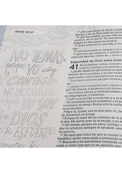Biblia de Apuntes Edición Ilustrada Tela en Rosado y Azul VR 1960