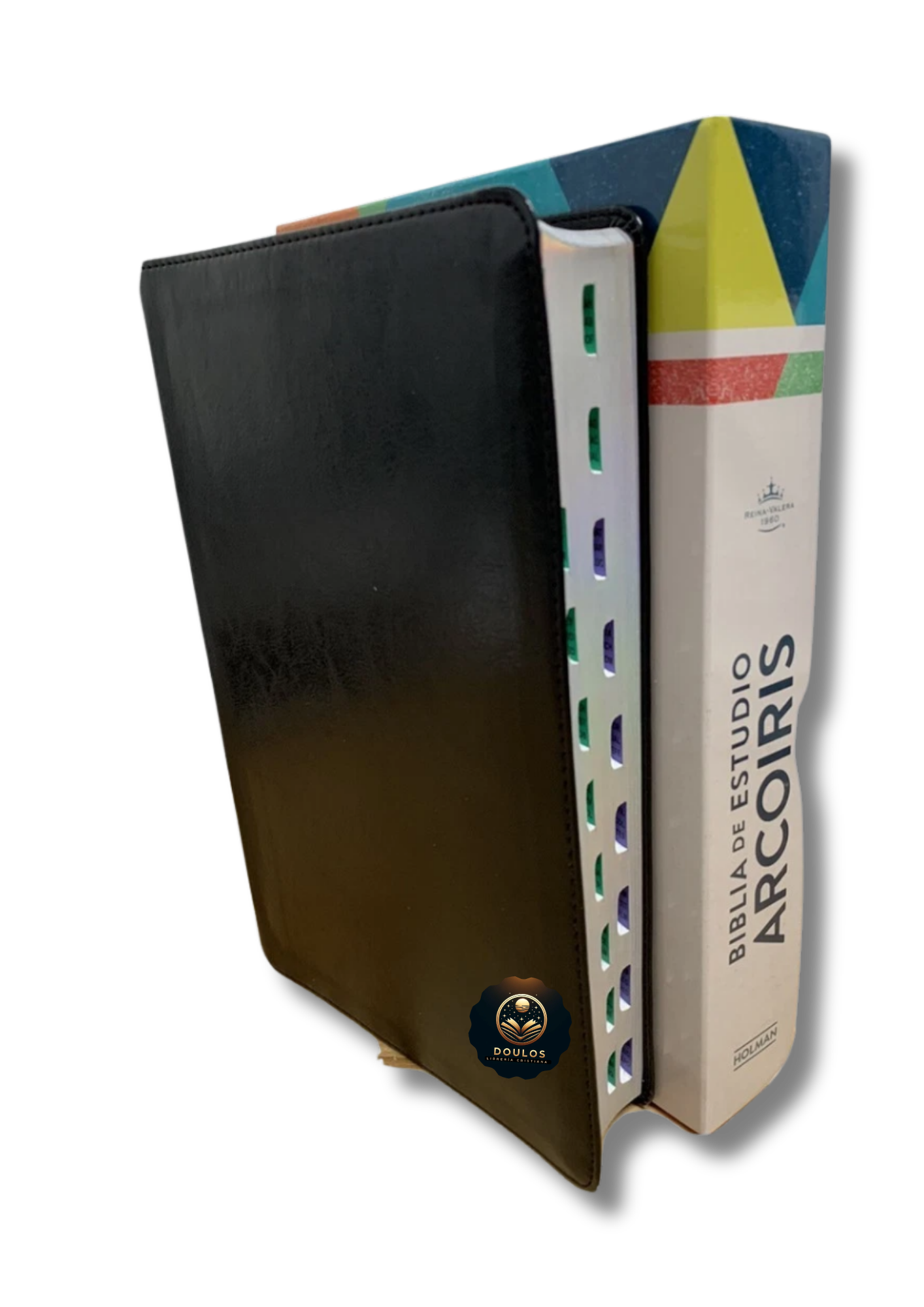 Biblia de Estudio Arcoíris RVR 1960 con Índice – Símil Piel Negro