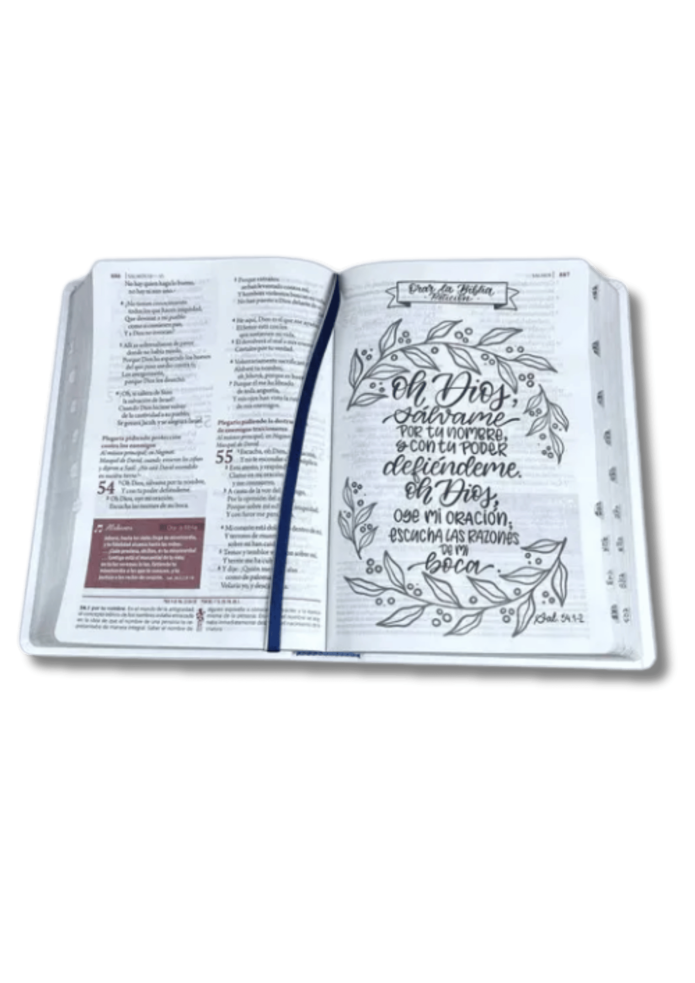Biblia de Estudio Ser Mujer Rosada y Blanca