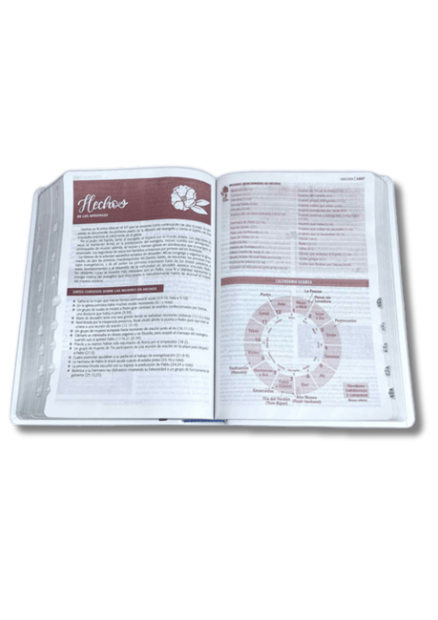 Biblia de Estudio Ser Mujer Rosada y Blanca