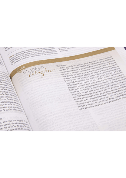 Biblia de Estudio para Mujer RV60 Vinotinto Fucsia Símil Piel