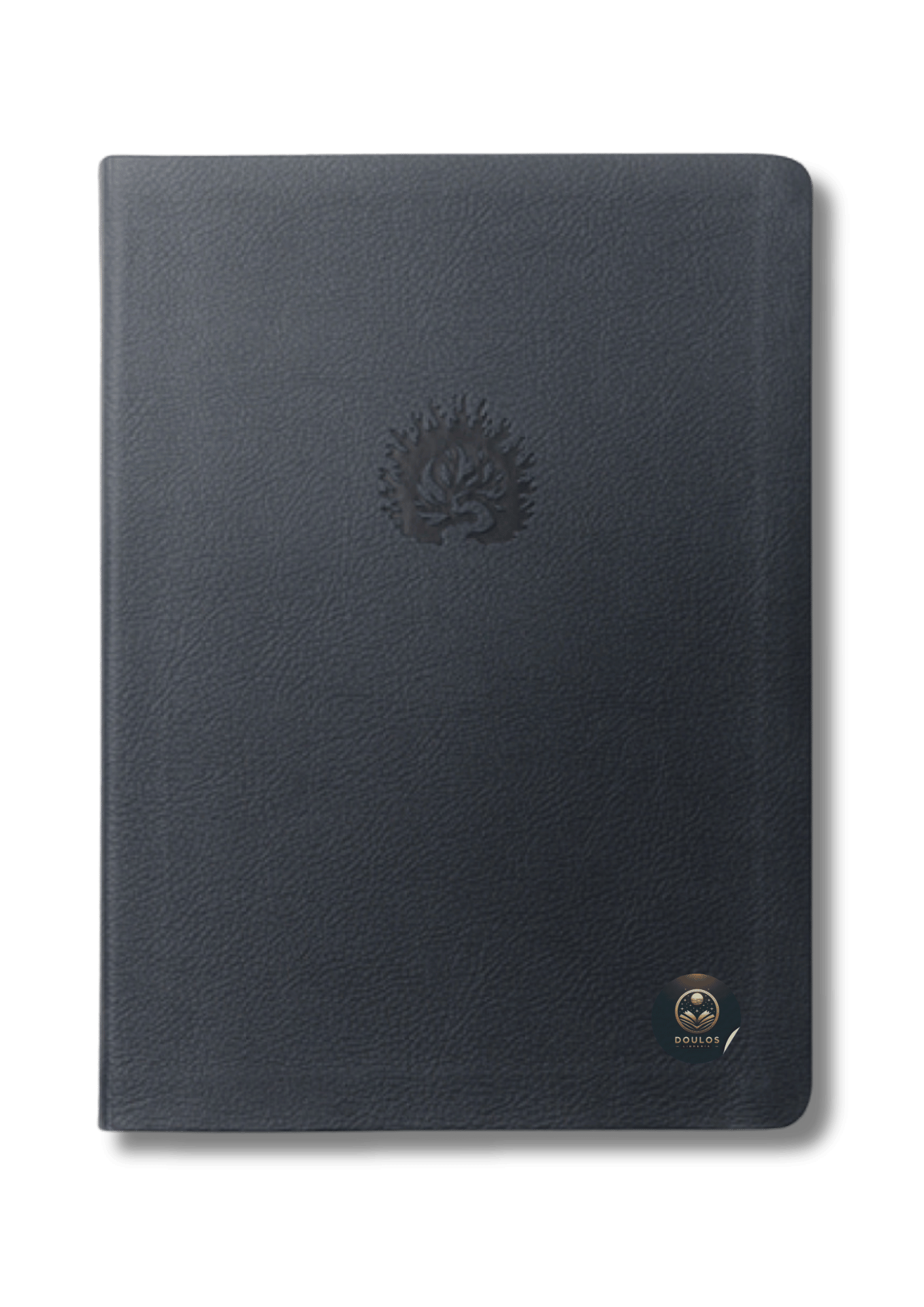 Biblia de Estudio de La Reforma LBLA - La Biblia de las Américas