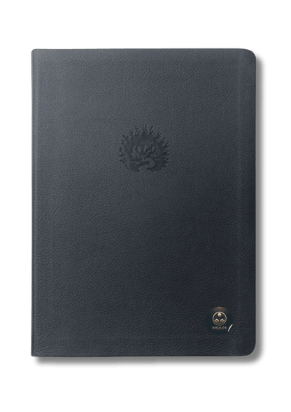 Biblia de Estudio de La Reforma LBLA - La Biblia de las Américas