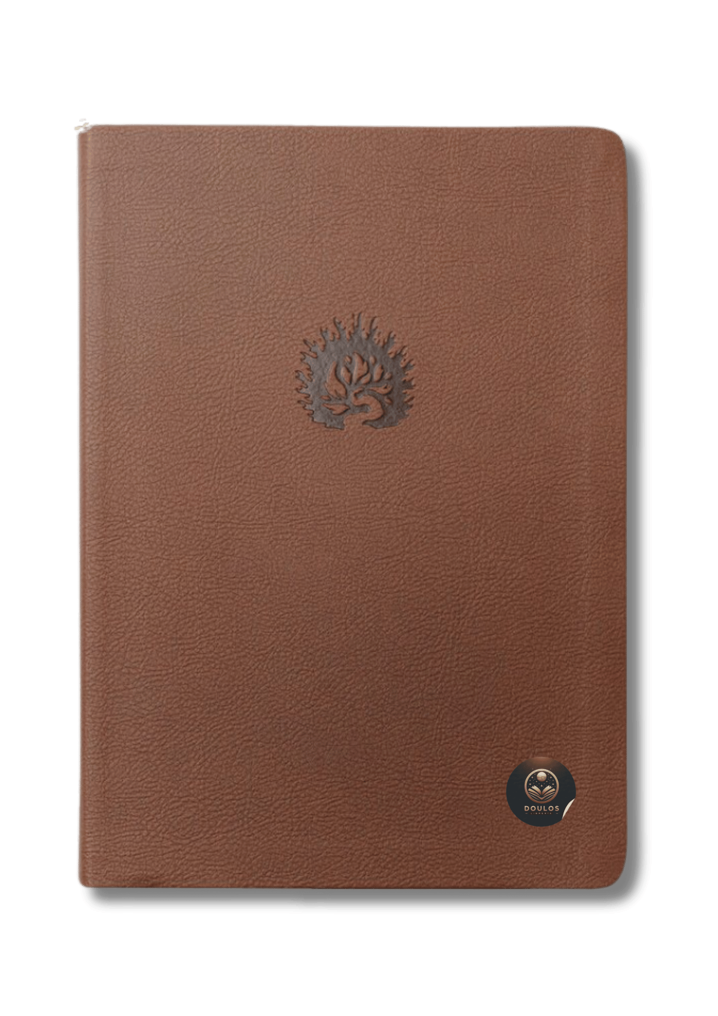 Biblia de Estudio de La Reforma LBLA - La Biblia de las Américas