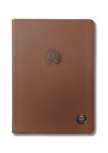 Biblia de Estudio de La Reforma LBLA - La Biblia de las Américas