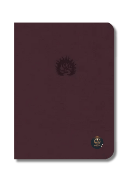 Biblia de Estudio de La Reforma LBLA - La Biblia de las Américas