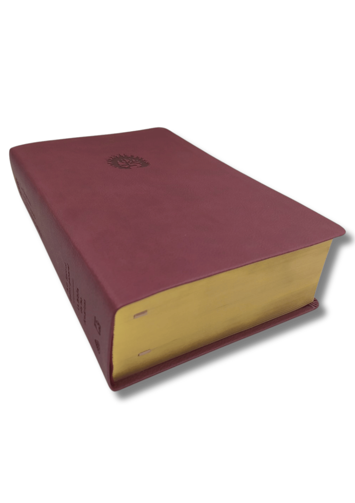 Biblia de Estudio de La Reforma LBLA - La Biblia de las Américas